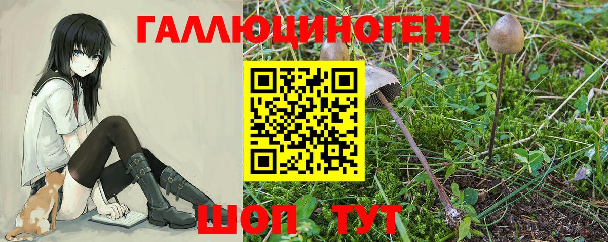 Благовещенск  Псилоцибиновые грибы MAGIC MUSHROOMS  Вход с VPN 