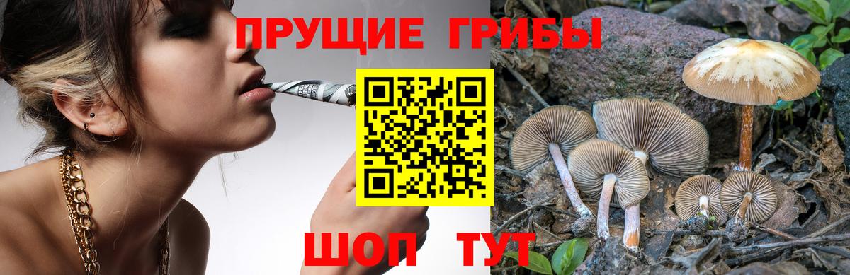 Галлюциногенные грибы Psilocybe Благовещенск